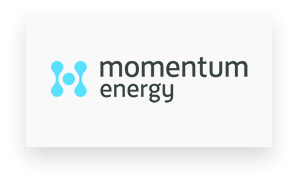 momentum-energy